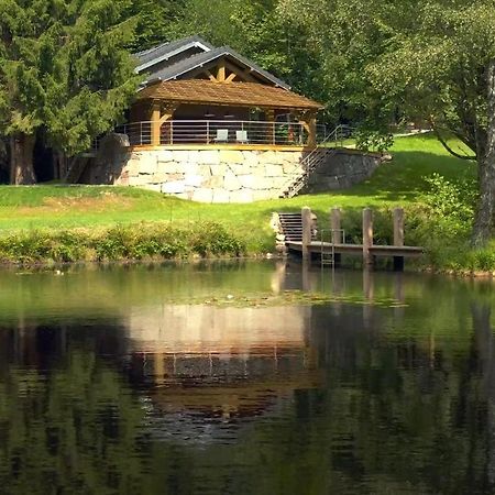 L'Ilet Aux 2 Etangs Villa Saint-Nabord Exterior foto
