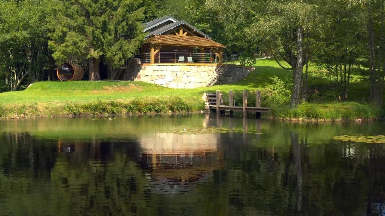 L'Ilet Aux 2 Etangs Villa Saint-Nabord Exterior foto